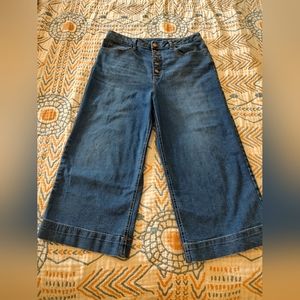 Time and True, size 16, navy medium wash, wide leg, crop, button fly, high waist